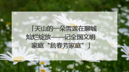 天山的一朵雪莲在聊城灿烂绽放——记全国文明家庭“詹春芳家庭”