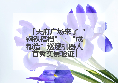 天府广场来了“钢铁搭档”：“成都造”巡逻机器人首秀实景验证