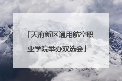 天府新区通用航空职业学院举办双选会