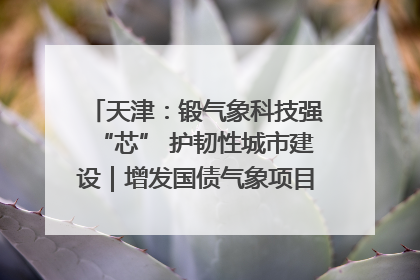 天津：锻气象科技强“芯” 护韧性城市建设｜增发国债气象项目落地见效系列报道