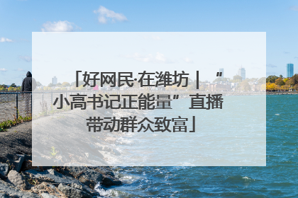 好网民·在潍坊｜“小高书记正能量”直播 带动群众致富