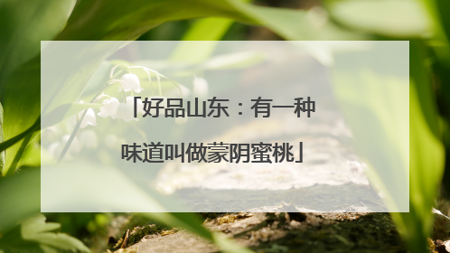 好品山东：有一种味道叫做蒙阴蜜桃