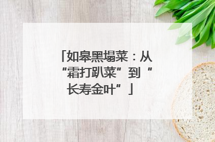 如皋黑塌菜：从“霜打趴菜”到“长寿金叶”