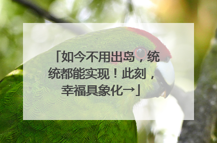 如今不用出岛，统统都能实现！此刻，幸福具象化→