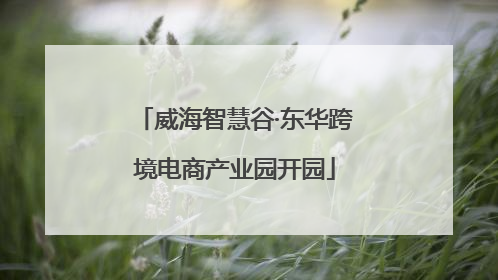 威海智慧谷·东华跨境电商产业园开园
