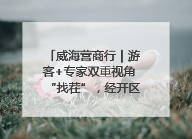 威海营商行｜游客+专家双重视角“找茬”，经开区文旅市场开展暑期前“体检”