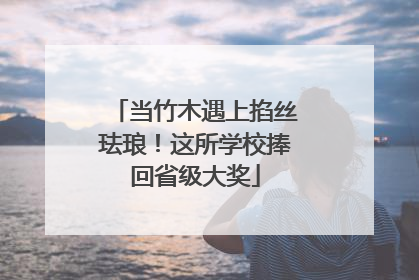 当竹木遇上掐丝珐琅！这所学校捧回省级大奖