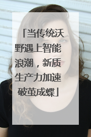 当传统沃野遇上智能浪潮，新质生产力加速破茧成蝶