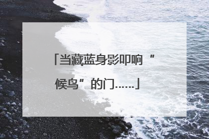 当藏蓝身影叩响“候鸟”的门……
