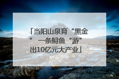 当阳山泉育“黑金” 一条鲟鱼“游”出10亿元大产业
