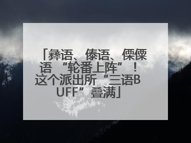 彝语、傣语、傈僳语 “轮番上阵”！这个派出所“三语BUFF”叠满