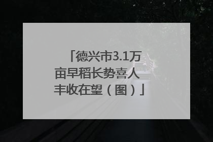 德兴市3.1万亩早稻长势喜人 丰收在望（图）