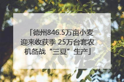 德州846.5万亩小麦迎来收获季 25万台套农机备战“三夏”生产