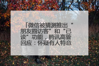 微信被猜测推出“朋友圈访客”和“已读”功能，腾讯高管回应：怀疑有人特意反复翻炒流量