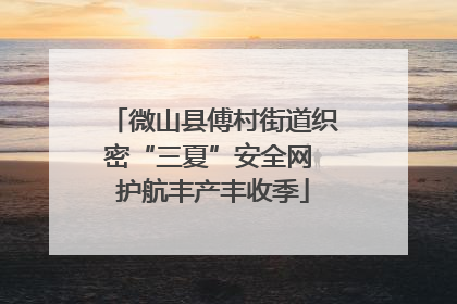 微山县傅村街道织密“三夏”安全网 护航丰产丰收季