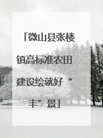 微山县张楼镇高标准农田建设绘就好“丰”景