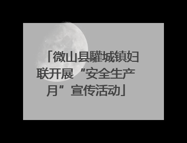 微山县驩城镇妇联开展“安全生产月”宣传活动
