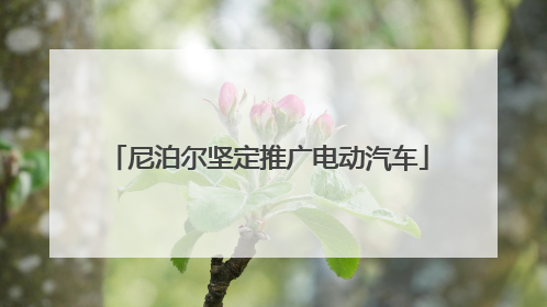 尼泊尔坚定推广电动汽车