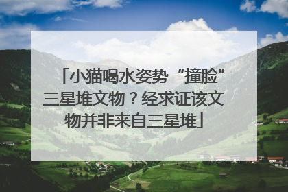 小猫喝水姿势“撞脸”三星堆文物？经求证该文物并非来自三星堆