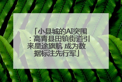 小县城的AI突围：高青县田镇街道引来星途旗航 成为数据标注先行军