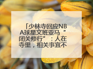少林寺回应NBA球星文班亚马“闭关修行”：人在寺里，相关事宜不便公开