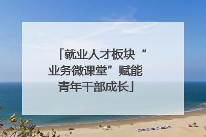 就业人才板块“业务微课堂”赋能青年干部成长