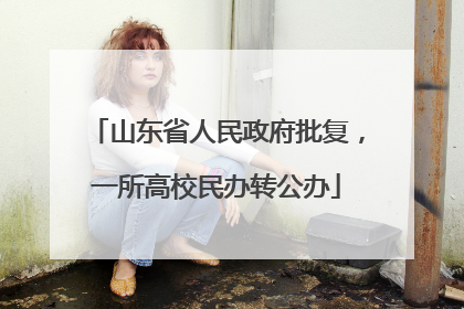 山东省人民政府批复，一所高校民办转公办