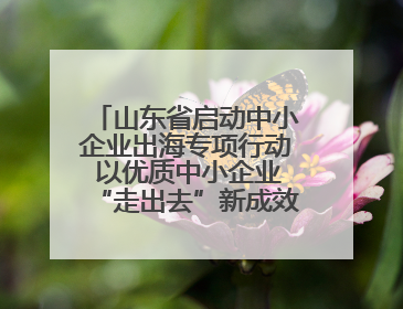 山东省启动中小企业出海专项行动 以优质中小企业“走出去”新成效展示山东产业发展新形象
