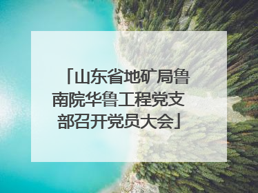 山东省地矿局鲁南院华鲁工程党支部召开党员大会