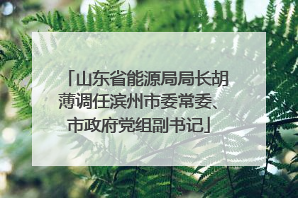 山东省能源局局长胡薄调任滨州市委常委、市政府党组副书记