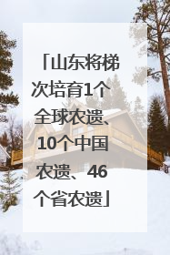 山东将梯次培育1个全球农遗、10个中国农遗、46个省农遗