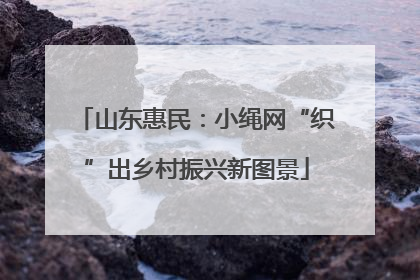 山东惠民：小绳网“织”出乡村振兴新图景