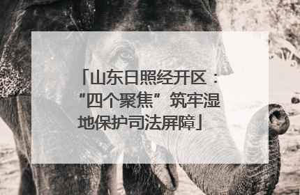 山东日照经开区：“四个聚焦”筑牢湿地保护司法屏障