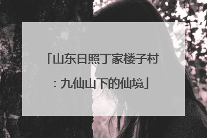 山东日照丁家楼子村：九仙山下的仙境