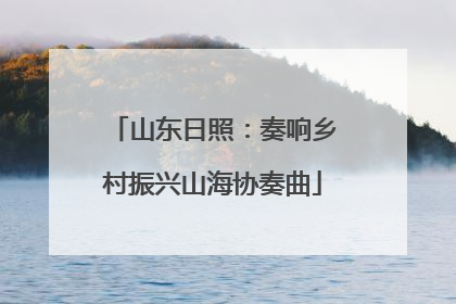 山东日照：奏响乡村振兴山海协奏曲