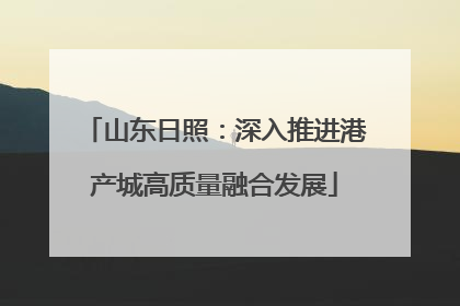 山东日照：深入推进港产城高质量融合发展
