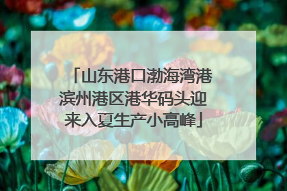 山东港口渤海湾港滨州港区港华码头迎来入夏生产小高峰