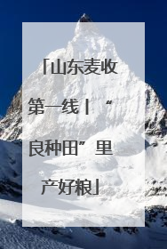 山东麦收第一线丨“良种田”里产好粮