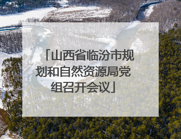 山西省临汾市规划和自然资源局党组召开会议