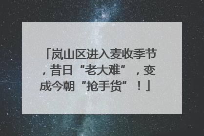 岚山区进入麦收季节，昔日“老大难”，变成今朝“抢手货”！