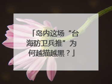 岛内这场“台海防卫兵推”为何越描越黑？