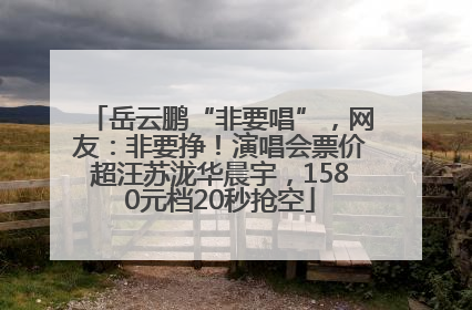 岳云鹏“非要唱”，网友：非要挣！演唱会票价超汪苏泷华晨宇，1580元档20秒抢空