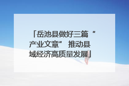 岳池县做好三篇“产业文章” 推动县域经济高质量发展