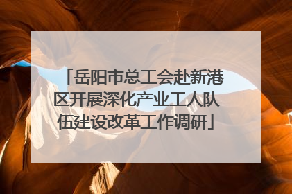 岳阳市总工会赴新港区开展深化产业工人队伍建设改革工作调研