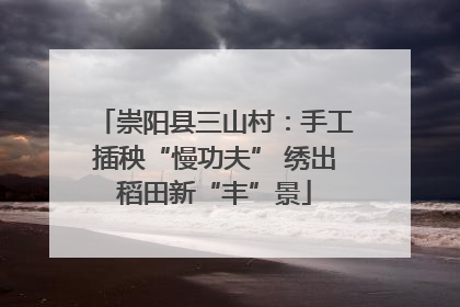 崇阳县三山村：手工插秧“慢功夫” 绣出稻田新“丰”景