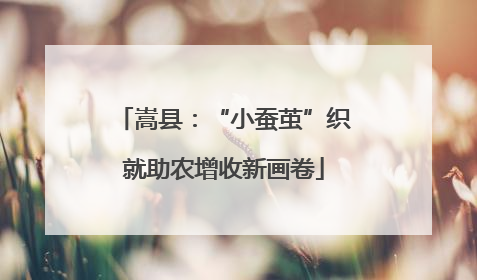 嵩县：“小蚕茧”织就助农增收新画卷