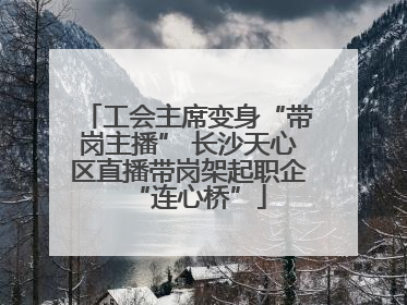 工会主席变身“带岗主播” 长沙天心区直播带岗架起职企“连心桥”