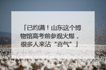 已约满！山东这个博物馆高考前参观火爆，很多人来沾“喜气”