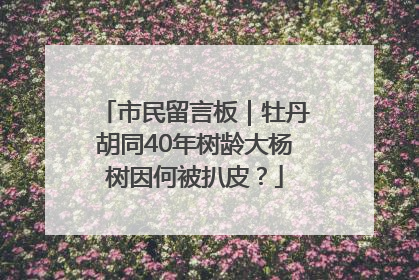 市民留言板｜牡丹胡同40年树龄大杨树因何被扒皮？