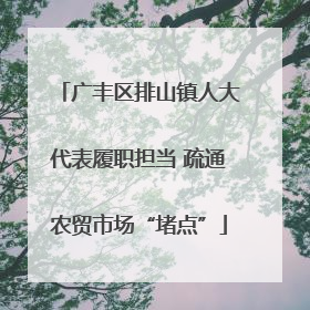 广丰区排山镇人大代表履职担当 疏通农贸市场“堵点”